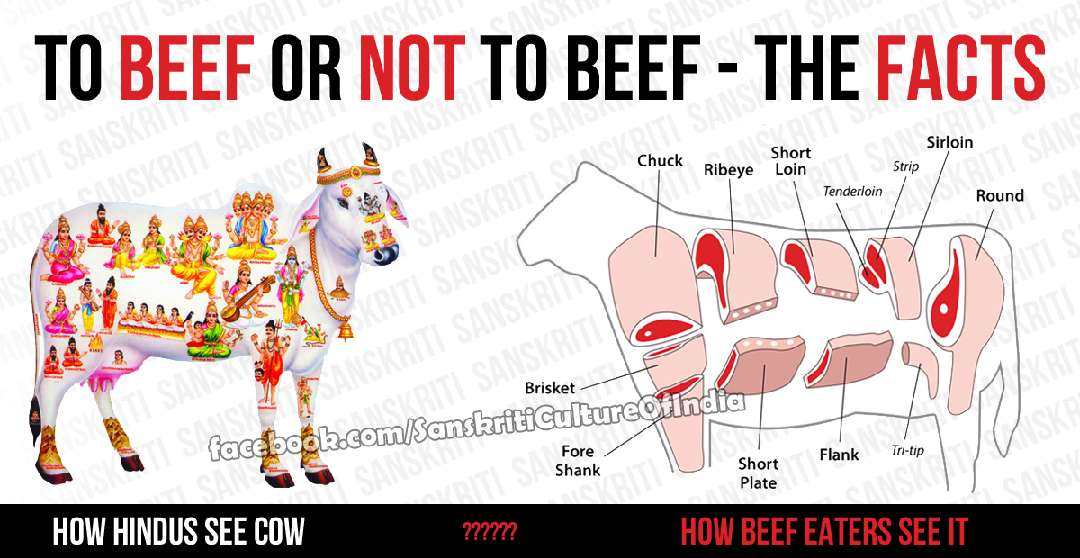 to-beef-or-not-to-beef