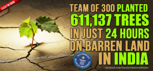 Team of 300 planted 611,137 trees in 24 hours