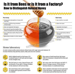 Honey - REAL or FAKE!?