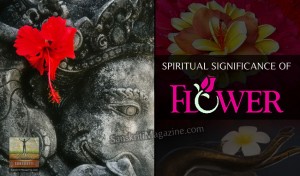 Spiritual Significance of Flowers