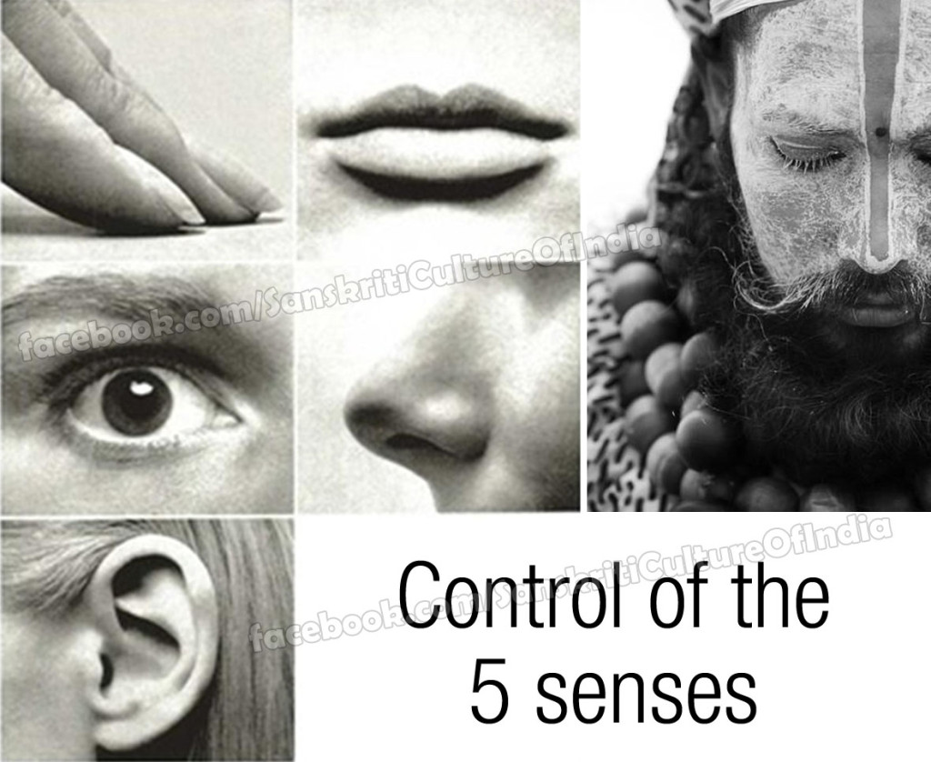 senses