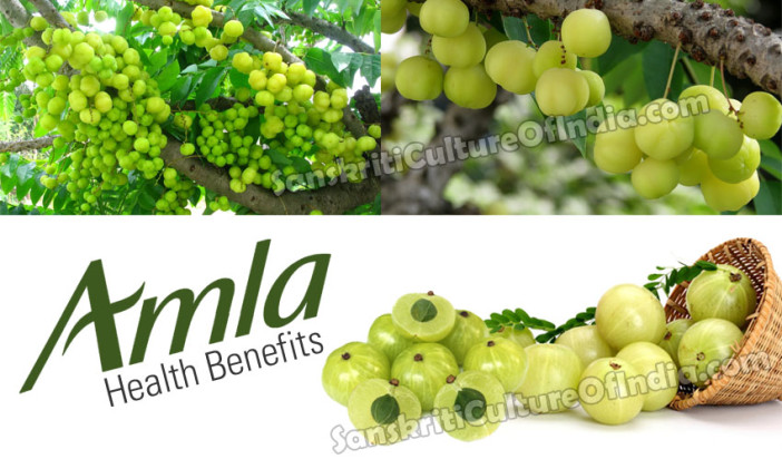 Health Benefits of Amla