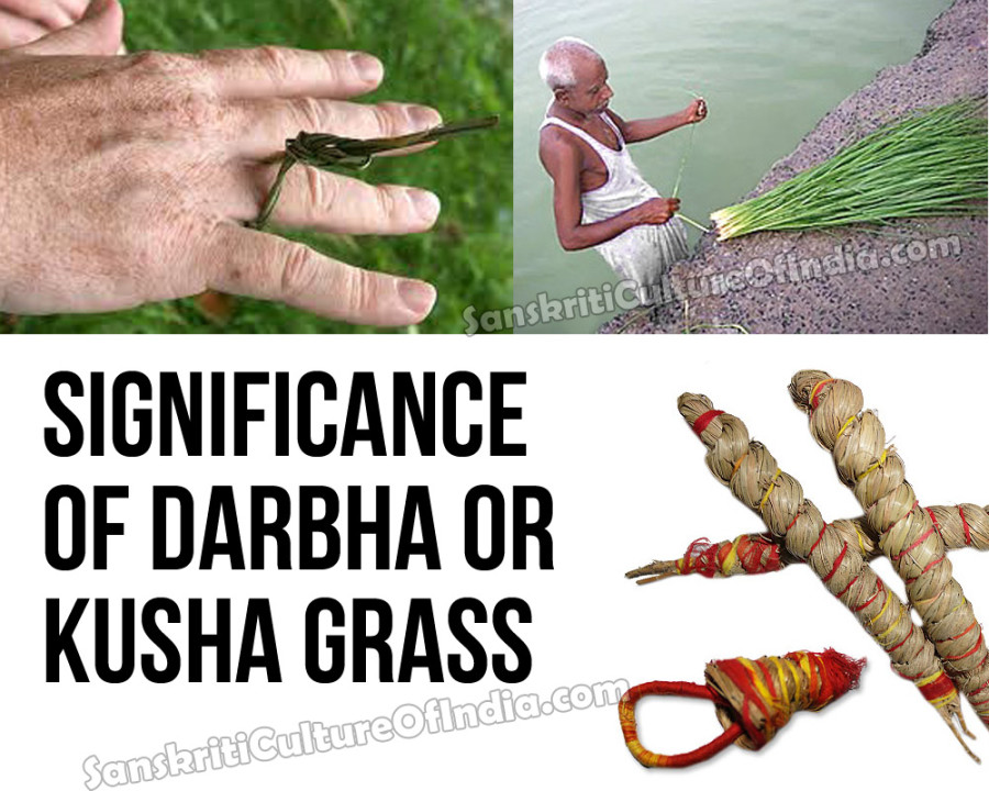 significance-of-darbha-or-kusha-grass-sanskriti-hinduism-and-indian