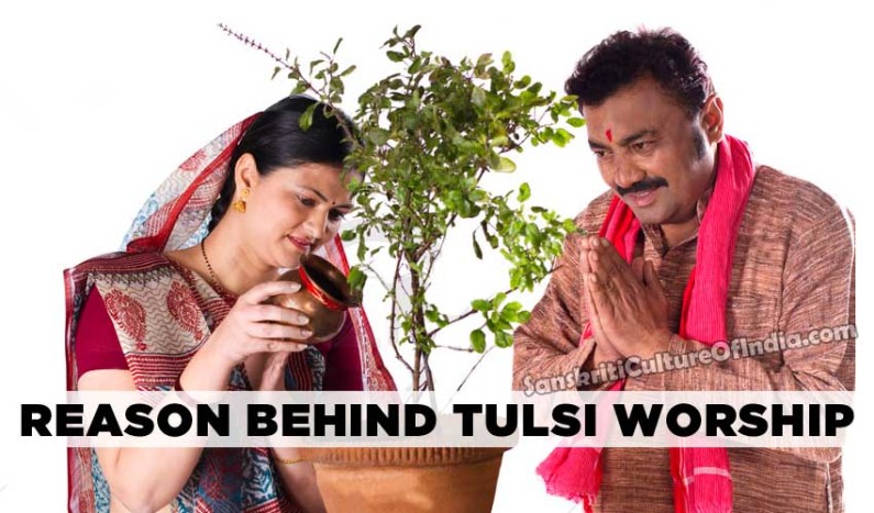 Reasons Behind Tulsi Worship | Sanskriti - Hinduism and Indian Culture ...