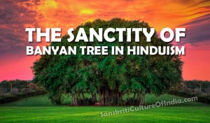 The Sanctity of Banyan Tree in Hinduism – Sanskriti - Hinduism and ...