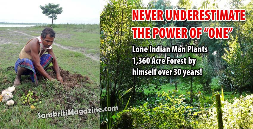 Lone Indian Man Plants 1,360 Acre Forest single-handedly!!