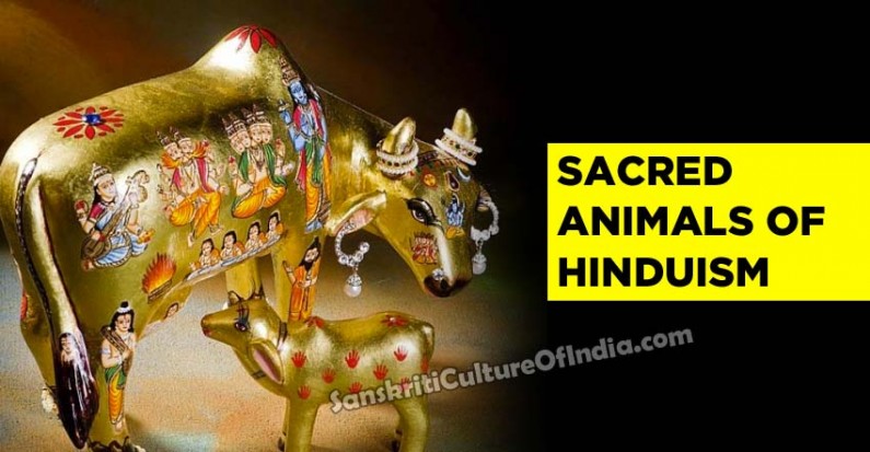 sacred-animals-of-hinduism-sanskriti-hinduism-and-indian-culture