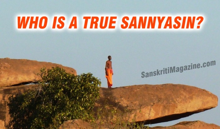 who-is-a-true-sannyasin-sanskriti-hinduism-and-indian-culture-website