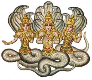 nagas