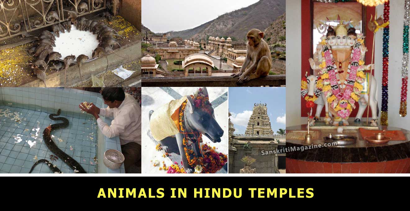 animals-in-hindu-temples-sanskriti-hinduism-and-indian-culture-website