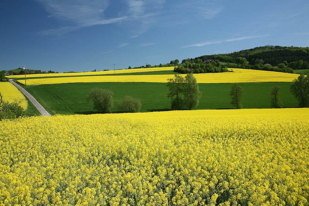 the-march-equinox-around-march-20-21-is-the-spring-vernal-equinox-in